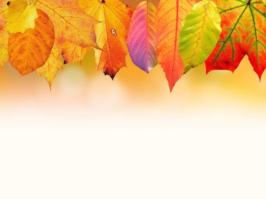 Autumn Banner